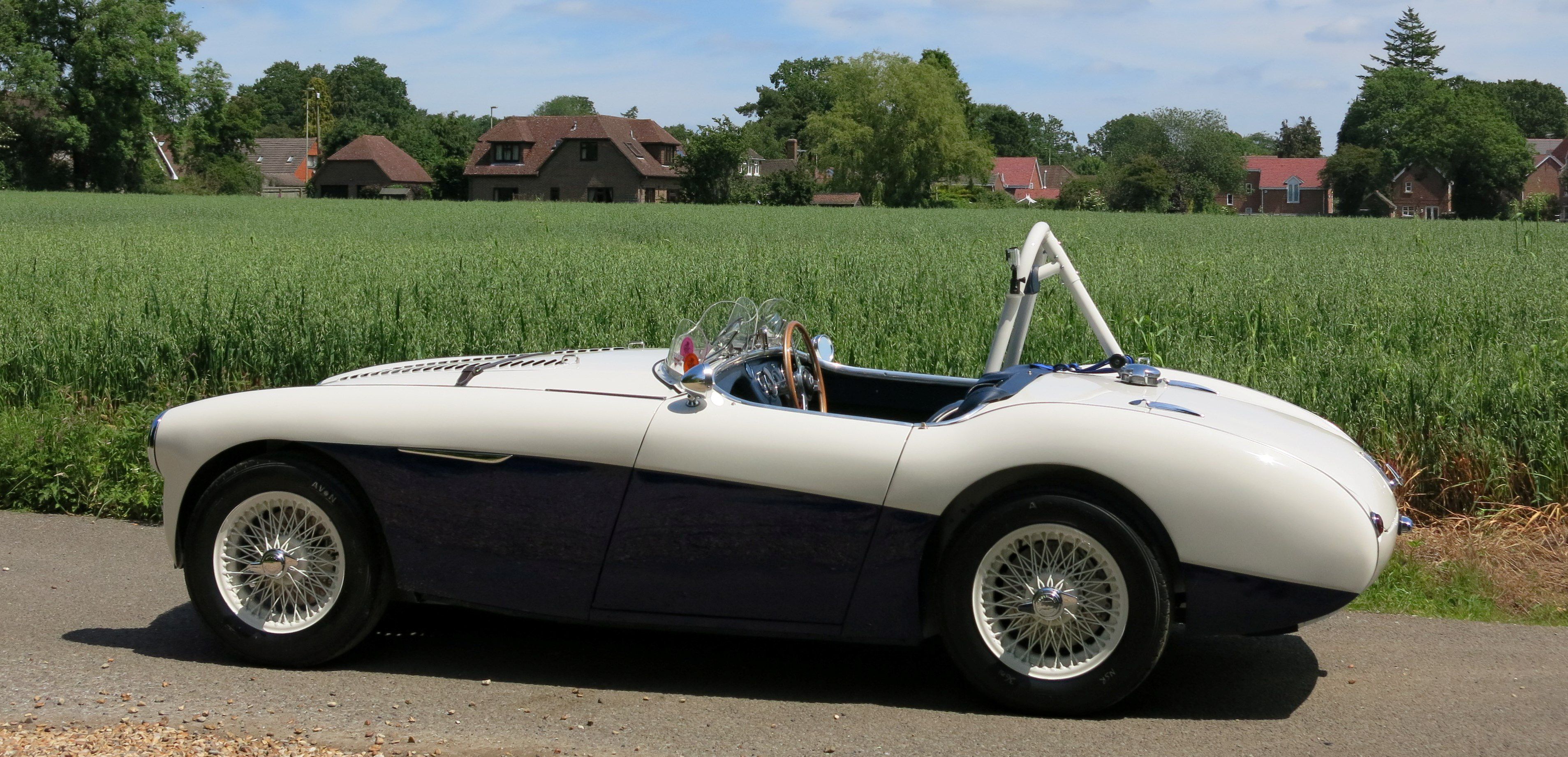 Austin Healey 100 S