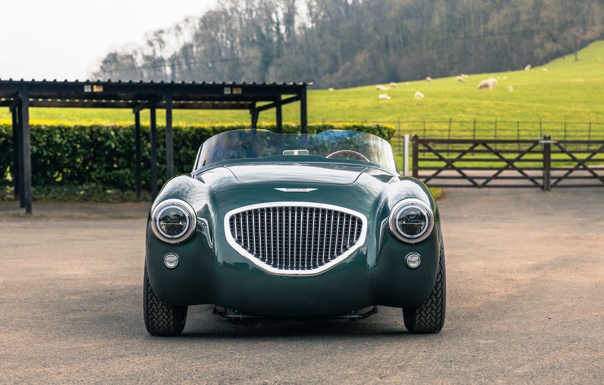 Healey by Caton
