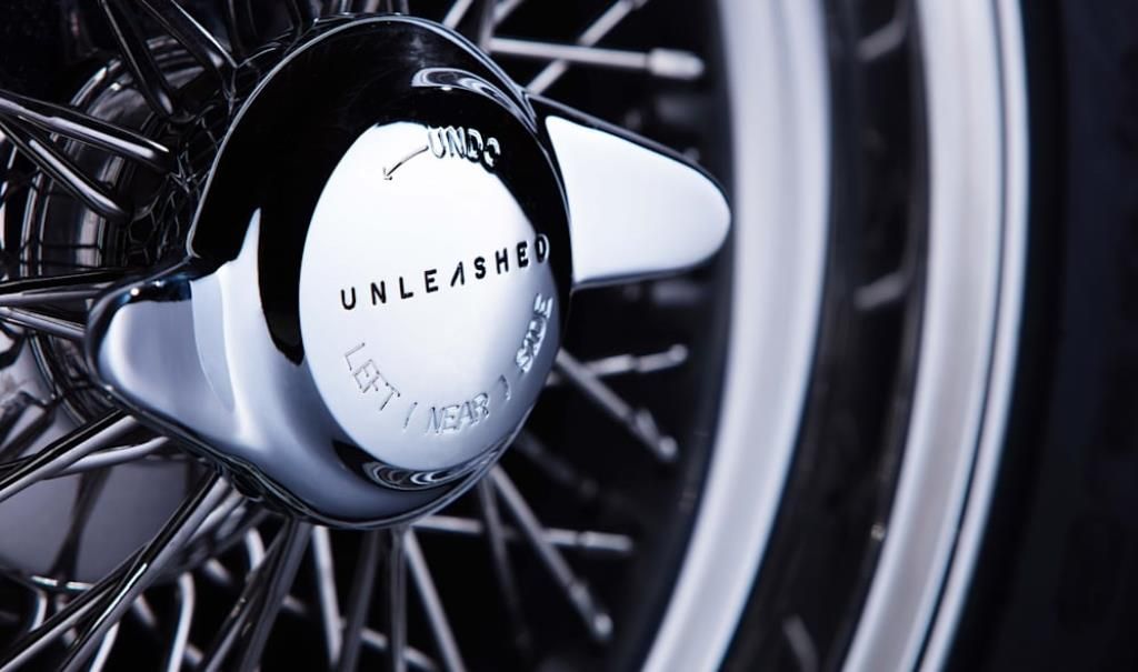 Unleashed